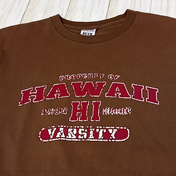 Fruit of the Loom Other - Hawaii Variety Distressed Brown Tshirt Size L